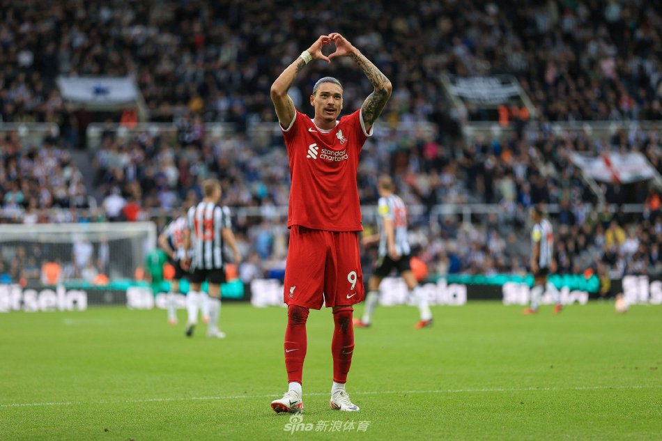 仅展现了英 仅展现了英