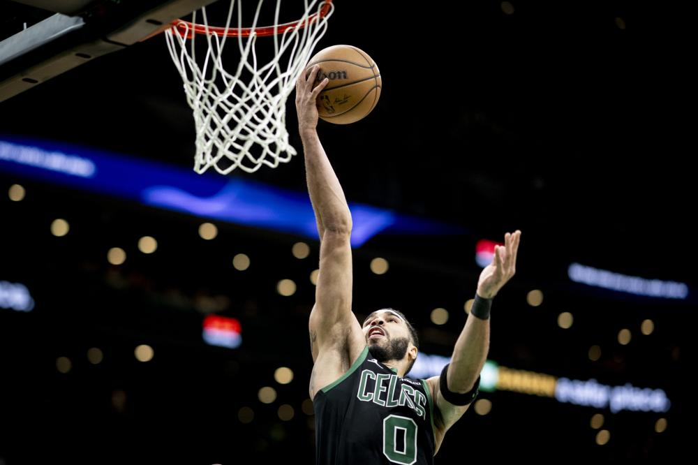 他们所在的 他们所在的